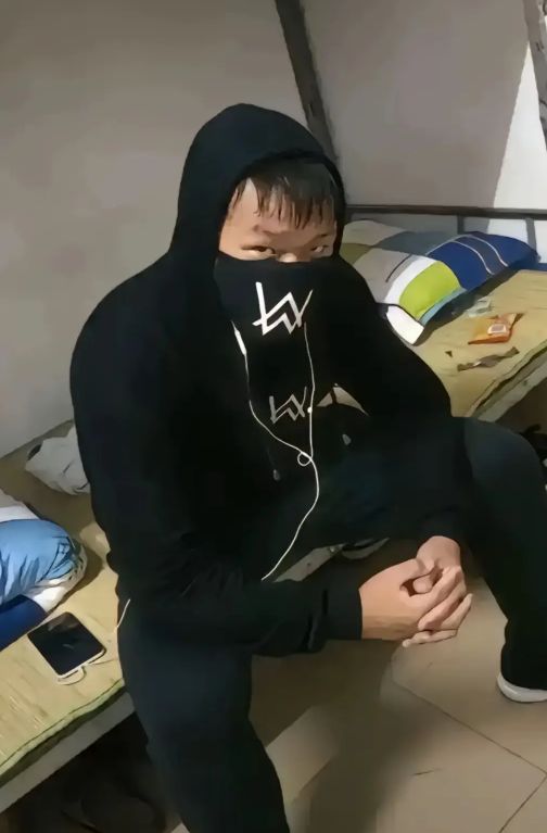 嘉豪梗爆火背后，二次元校园热梗再翻红
