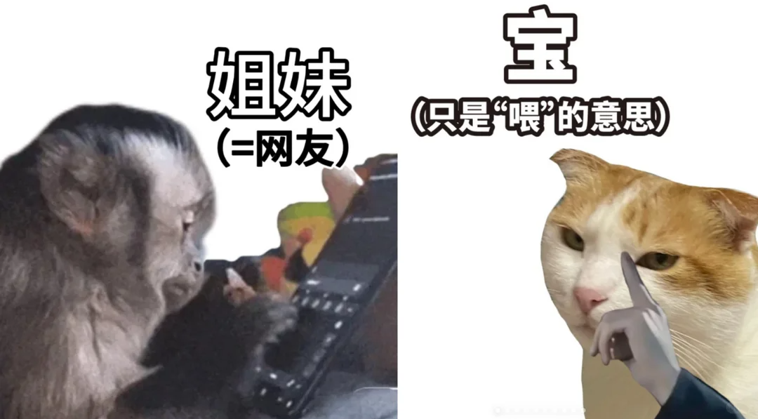 负鼠表情包爆火背后的自嘲！当代年轻人的反话文学嘴替