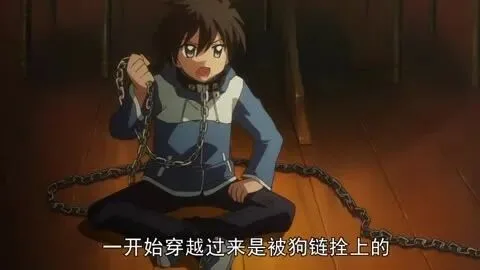 零之使魔20周年第五季可能性评析
