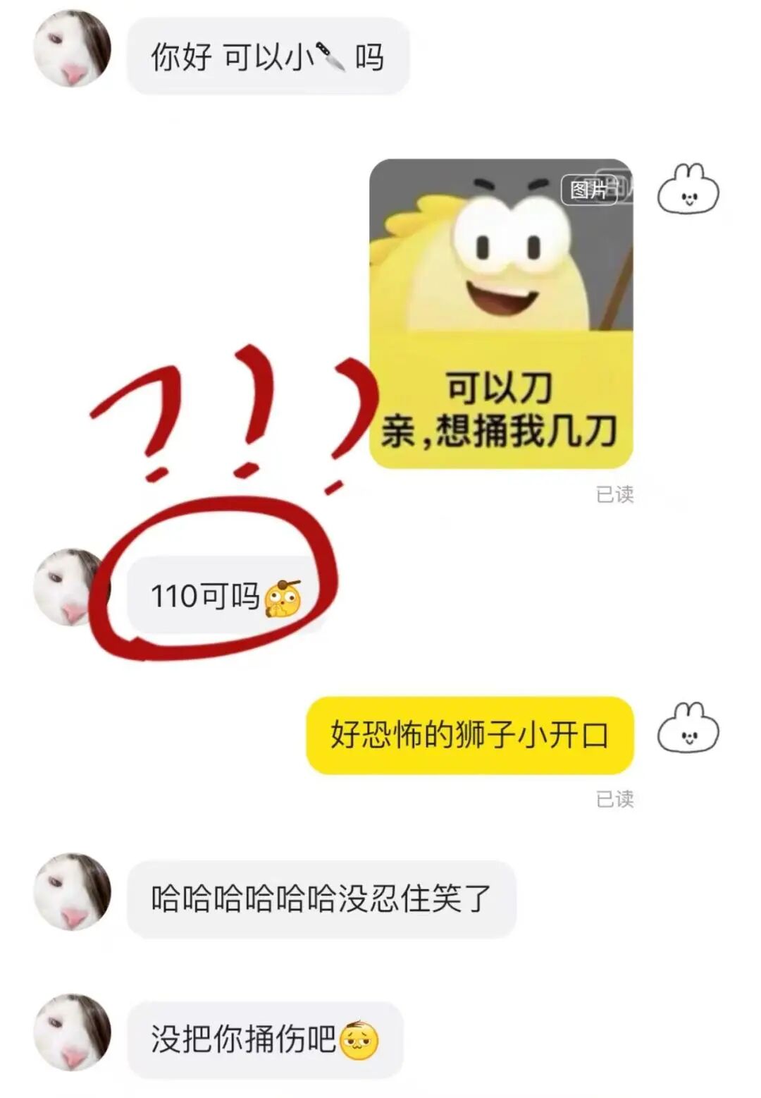 负鼠表情包爆火背后的自嘲！当代年轻人的反话文学嘴替