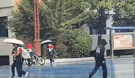 嘉豪梗爆火背后，二次元校园热梗再翻红