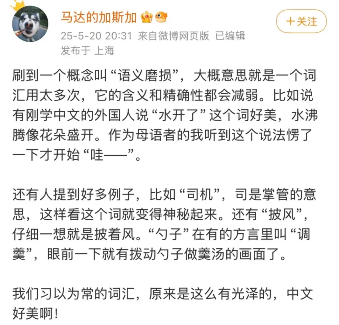 负鼠表情包爆火背后的自嘲！当代年轻人的反话文学嘴替