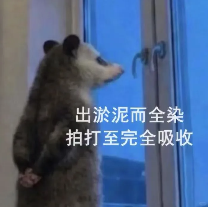 负鼠表情包爆火背后的自嘲！当代年轻人的反话文学嘴替