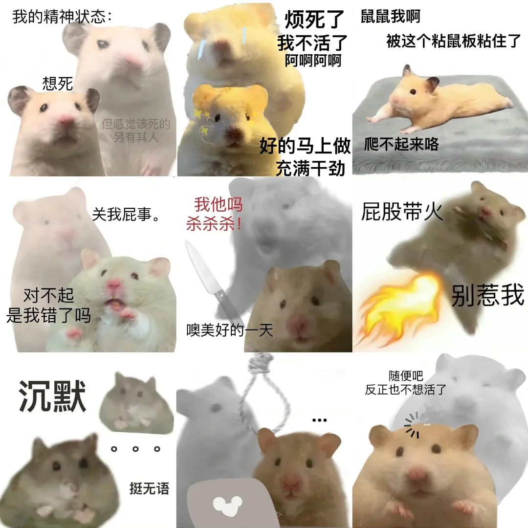 负鼠表情包爆火背后的自嘲！当代年轻人的反话文学嘴替