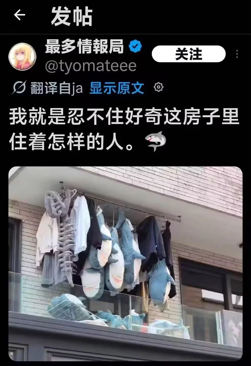 嘴上说不要身体却很老实？二次元“鲨鱼抱枕”公开处刑现场：傲娇的终极形态到底有多萌