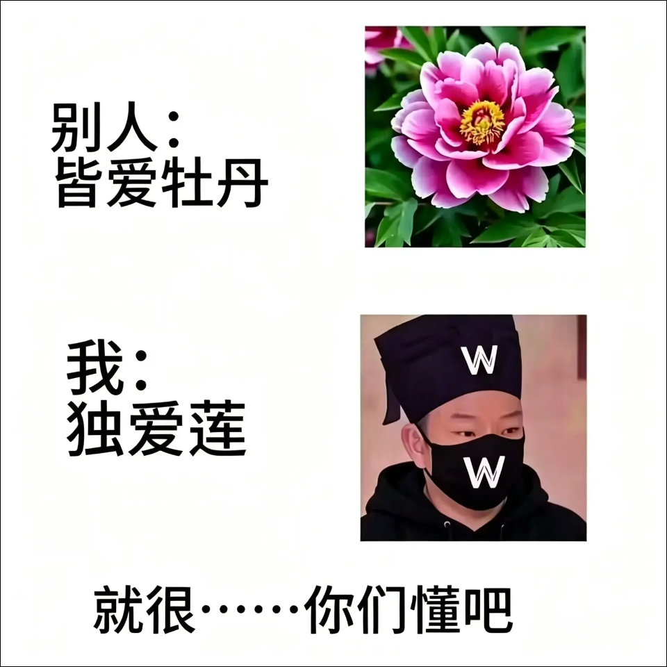 嘉豪梗爆火背后，二次元校园热梗再翻红