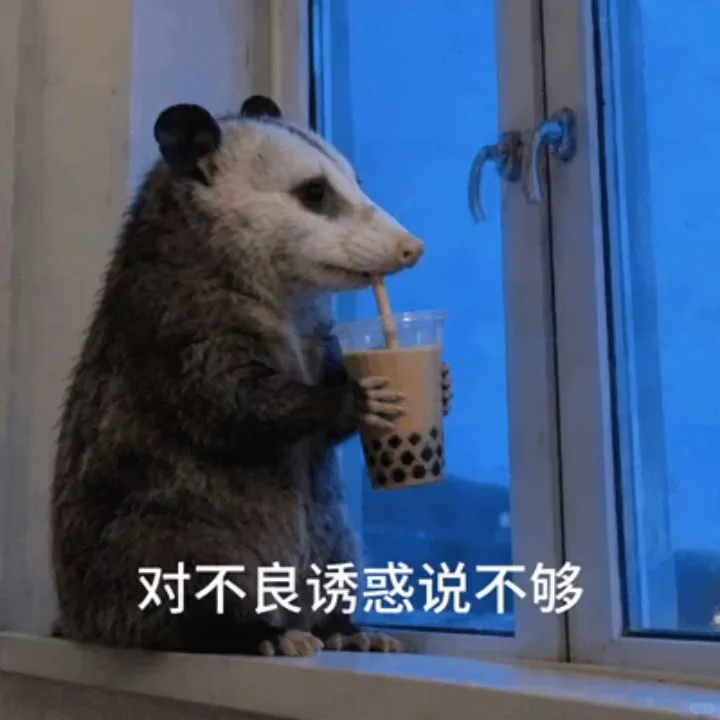 负鼠表情包爆火背后的自嘲！当代年轻人的反话文学嘴替