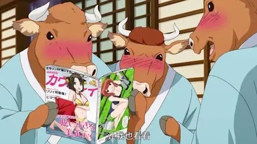 肉丸NTR争议背后中文圈动漫漫画迷为何吵翻天