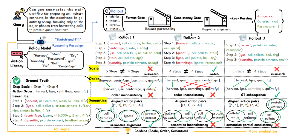Thoth模型解析：8B模型如何生成可执行生物实验Protocol