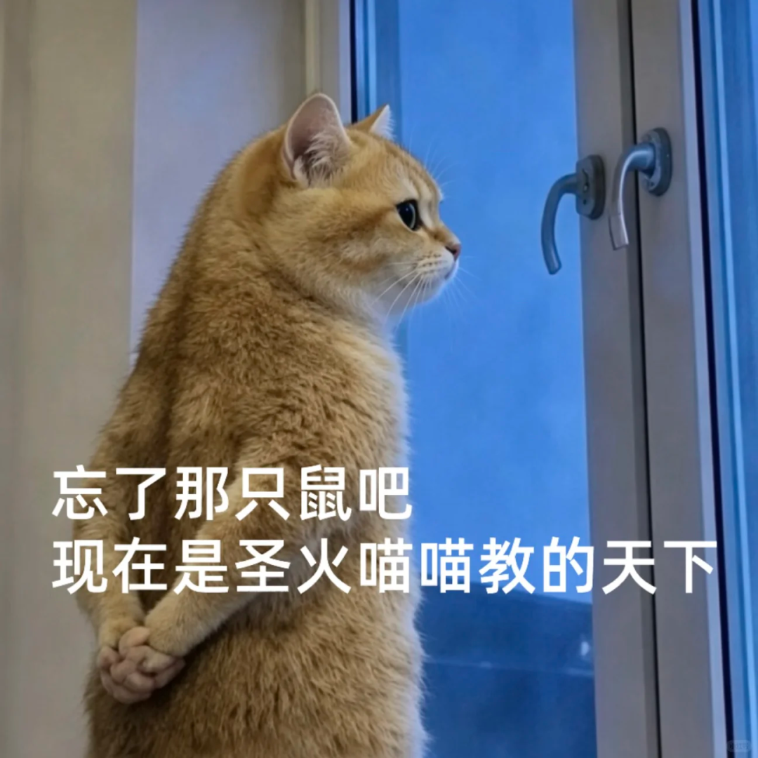 负鼠表情包爆火背后的自嘲！当代年轻人的反话文学嘴替