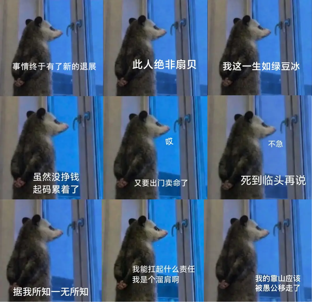 负鼠表情包爆火背后的自嘲！当代年轻人的反话文学嘴替