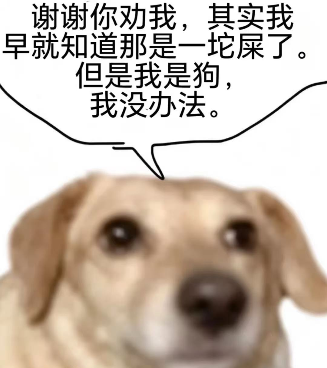 别再把太太当“免费厨子”了！聊聊这场席卷同人圈的创作自由大崩塌
