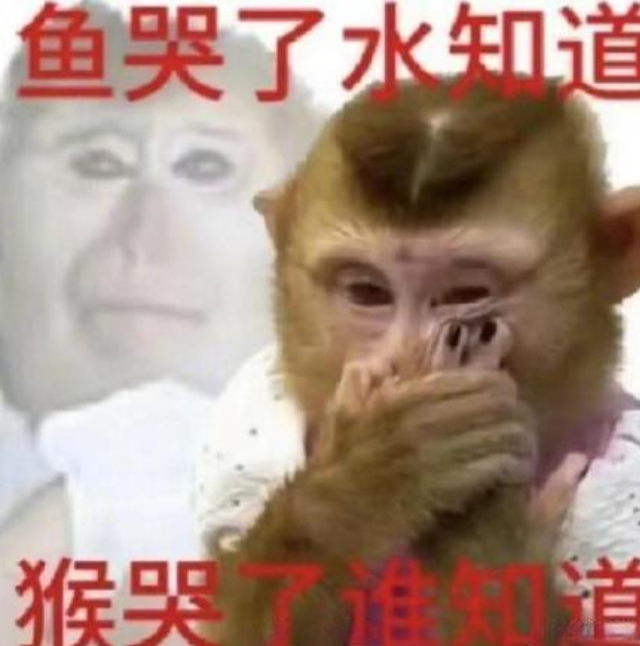 【福利看点】A站超低门槛上推荐与创作者激励实操攻略