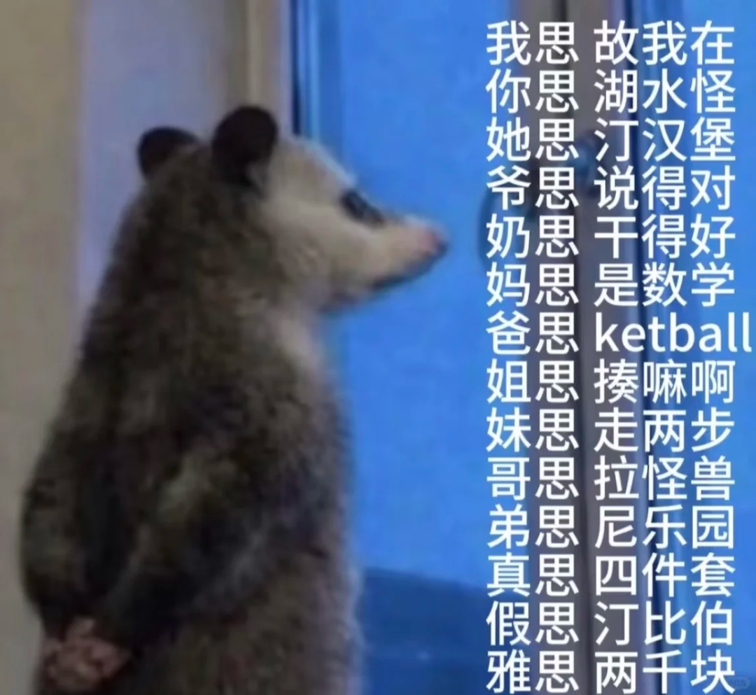 负鼠表情包爆火背后的自嘲！当代年轻人的反话文学嘴替