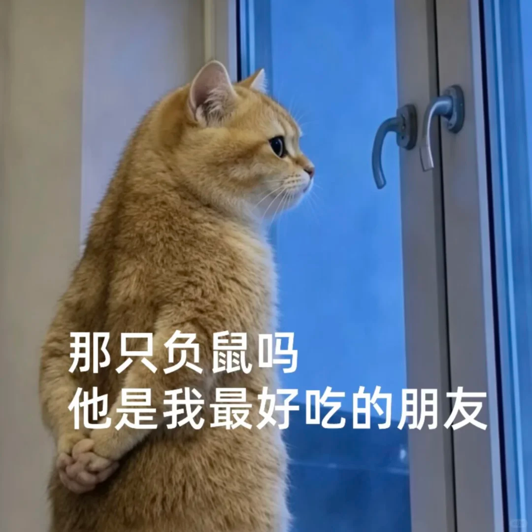 负鼠表情包爆火背后的自嘲！当代年轻人的反话文学嘴替