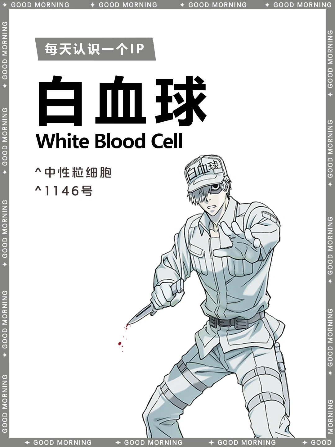 工作细胞 | 白血球/白细胞 🚑