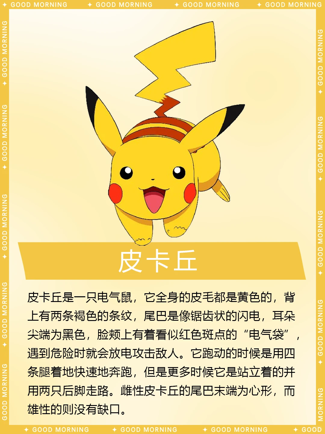 神奇宝贝 I 皮卡丘🟡