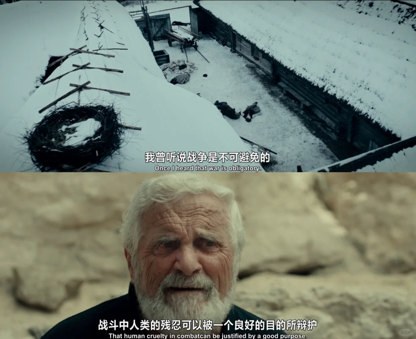 2026年德国催泪二战片《希望的鹳鸟》上映：儿童视角下的人性悲歌，真实事件改编必看