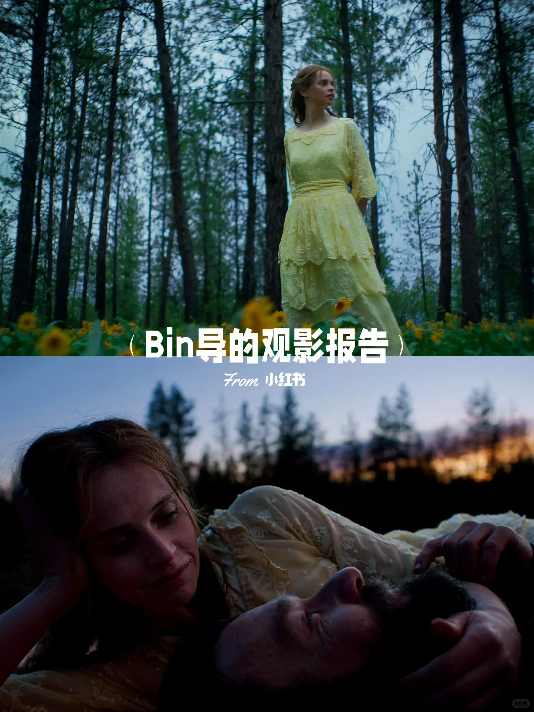 《火车梦》：Netflix冲奥冷门佳片，尘世中的心灵疗愈之旅