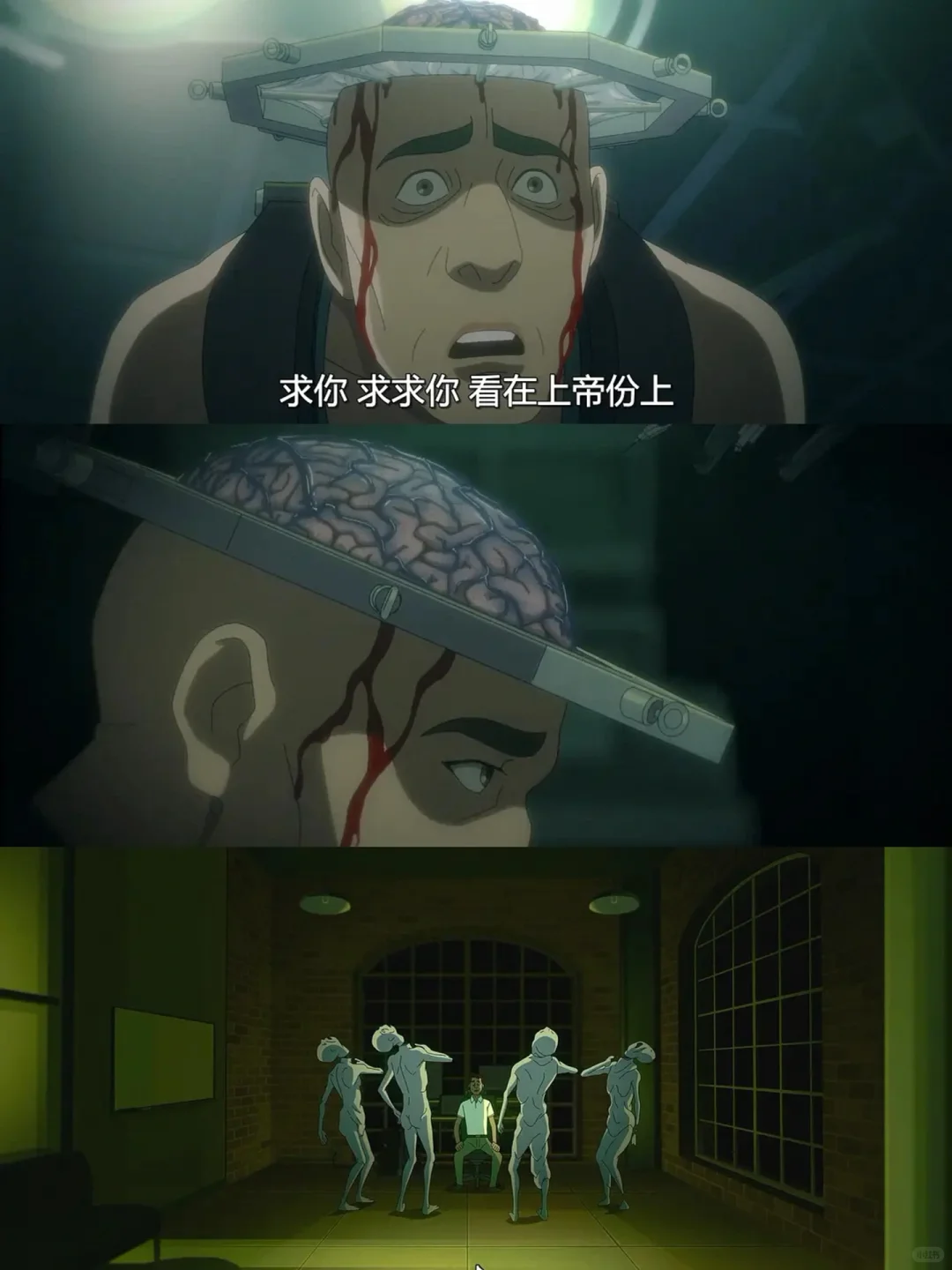 🆘第二季9.8分❗科幻动画黑马原地封神❗