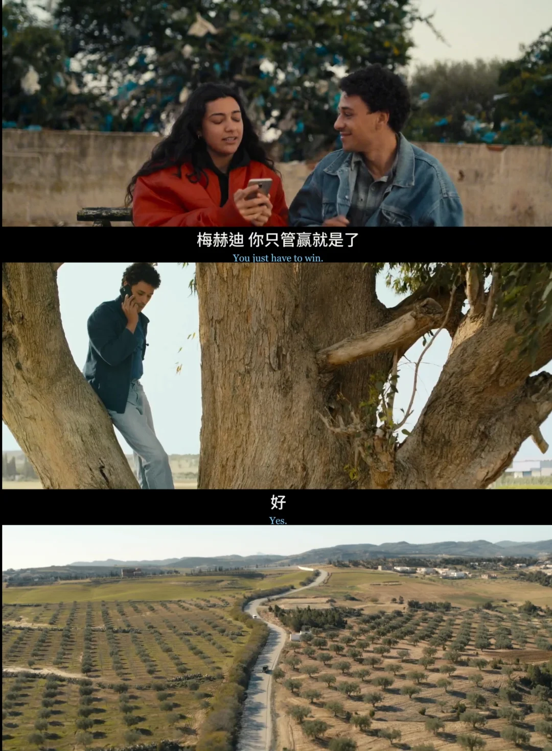 突尼斯女性公路片《风来之所》2026上线，逃离与勇气的北非故事 - ACGFav