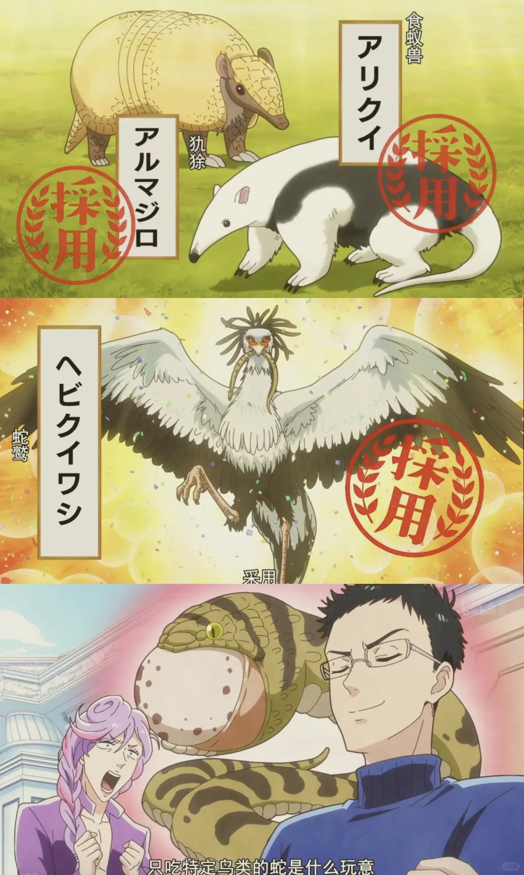 天地创造设计部：最沙雕的科普番，脑洞生物设计爆笑推荐