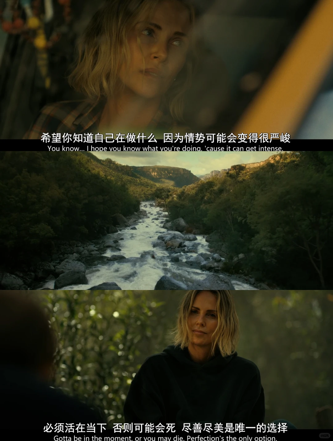 巅峰猎杀深度影评：加拿大犯罪动作惊悚片巅峰解析 - ACGFav