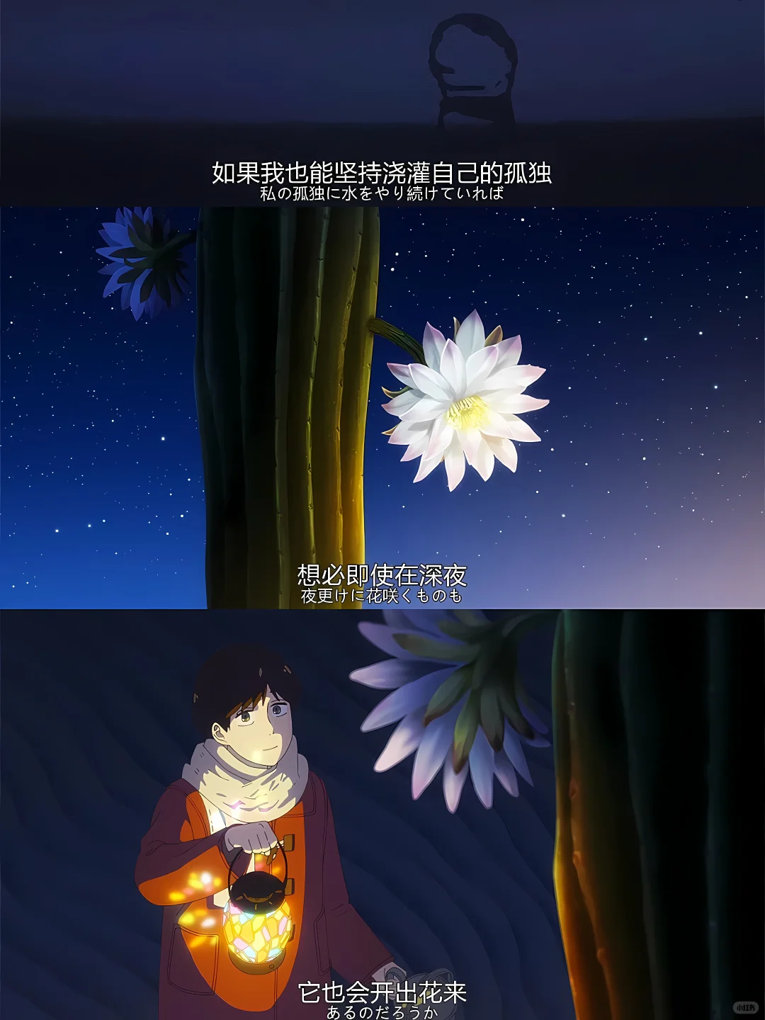 时隔四年再创巅峰！治愈系动画《异国日记》荣膺日本银河赏电视部门大奖，成年人真实烦恼的细腻刻画获高度赞誉