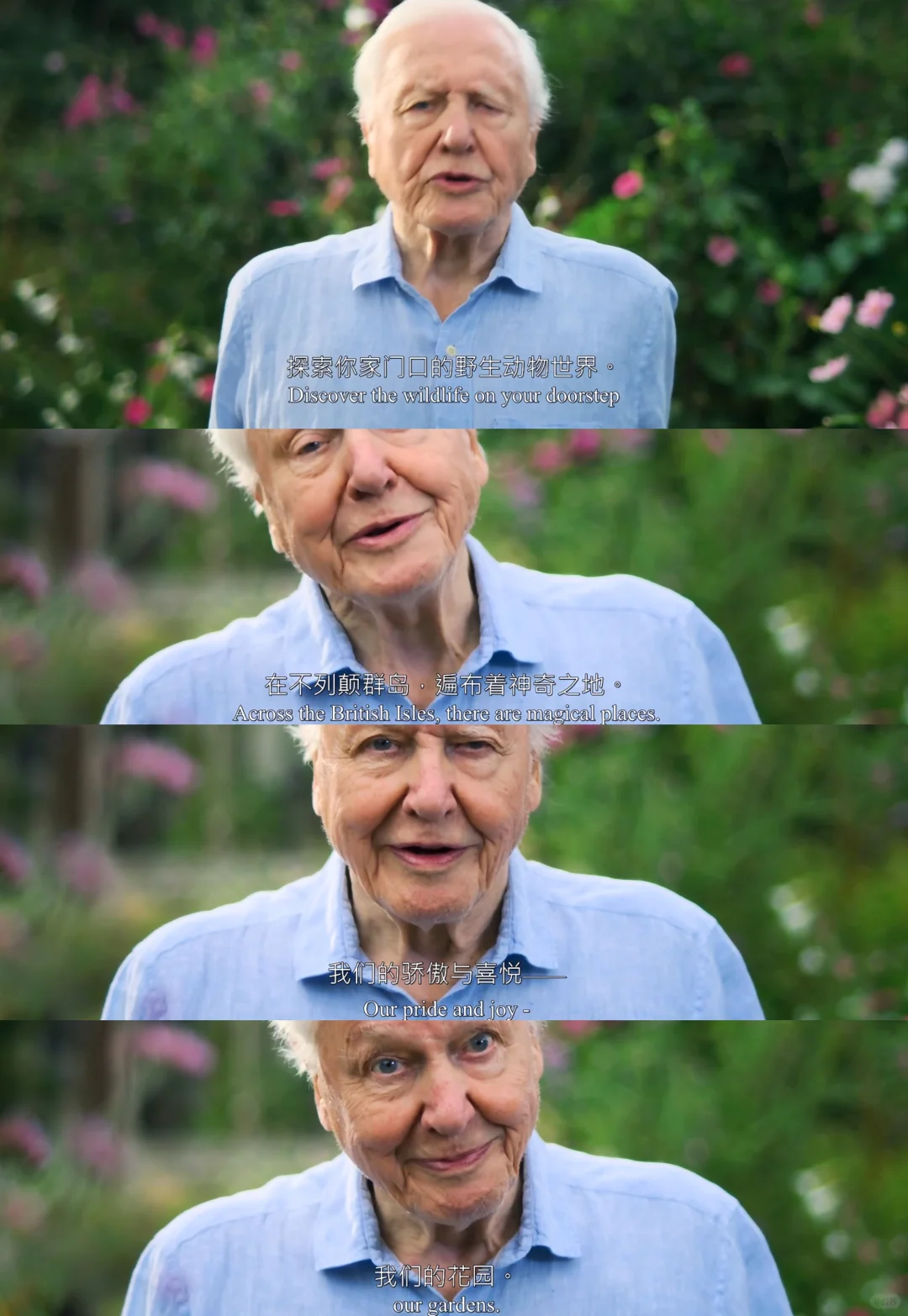 BBC自然纪录片《后院里的秘密生物》大卫爱登堡收官之作 - ACGFav