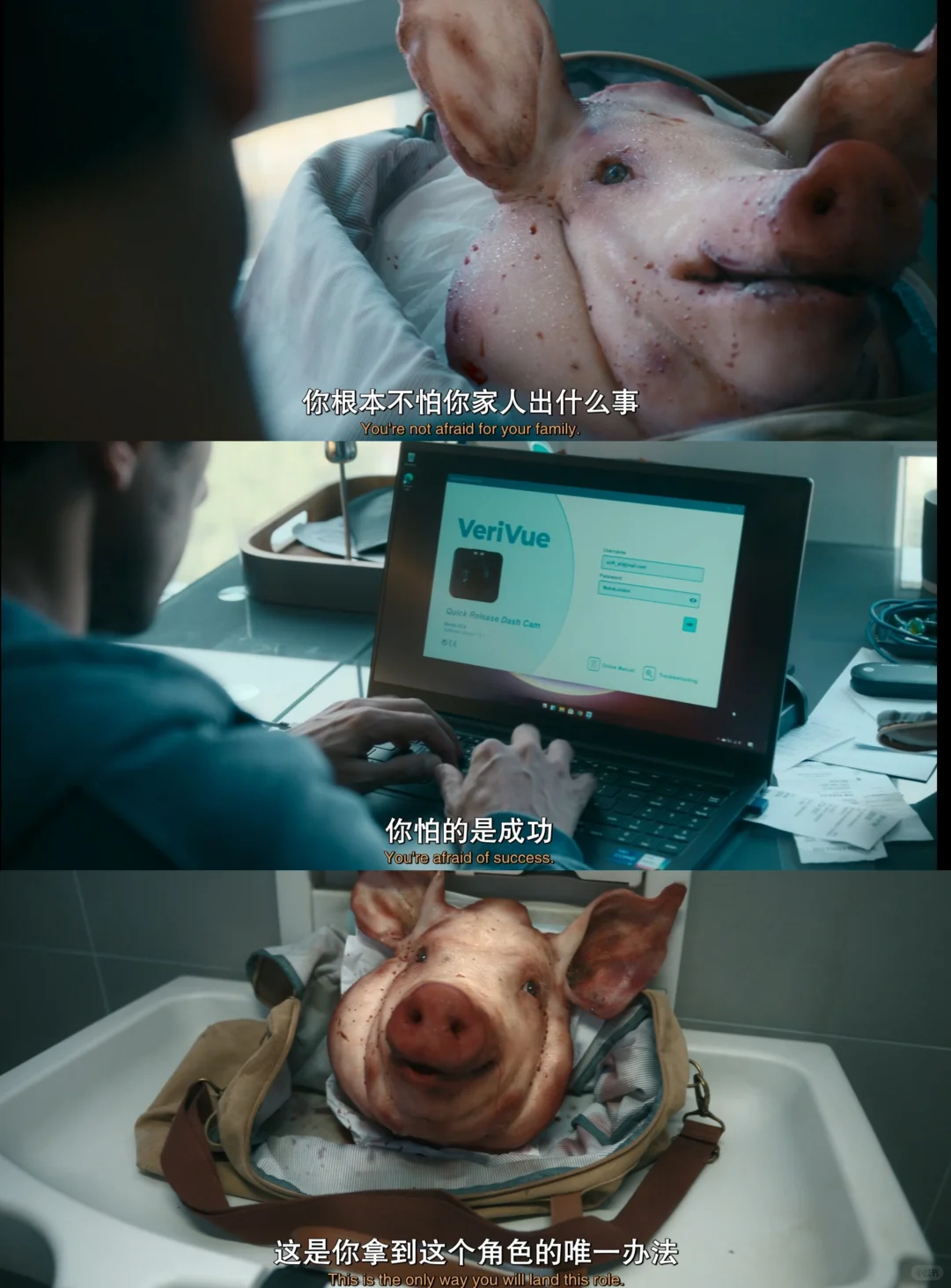 英剧《诱饵》心理分析：俄狄浦斯情结与自我救赎的影视化呈现 - ACGFav