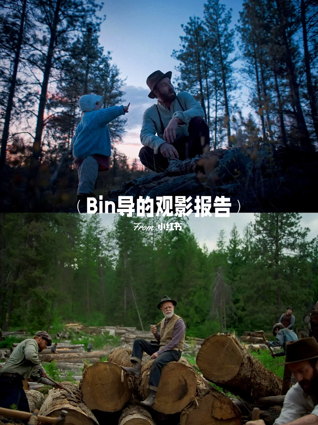 《火车梦》：Netflix冲奥冷门佳片，尘世中的心灵疗愈之旅