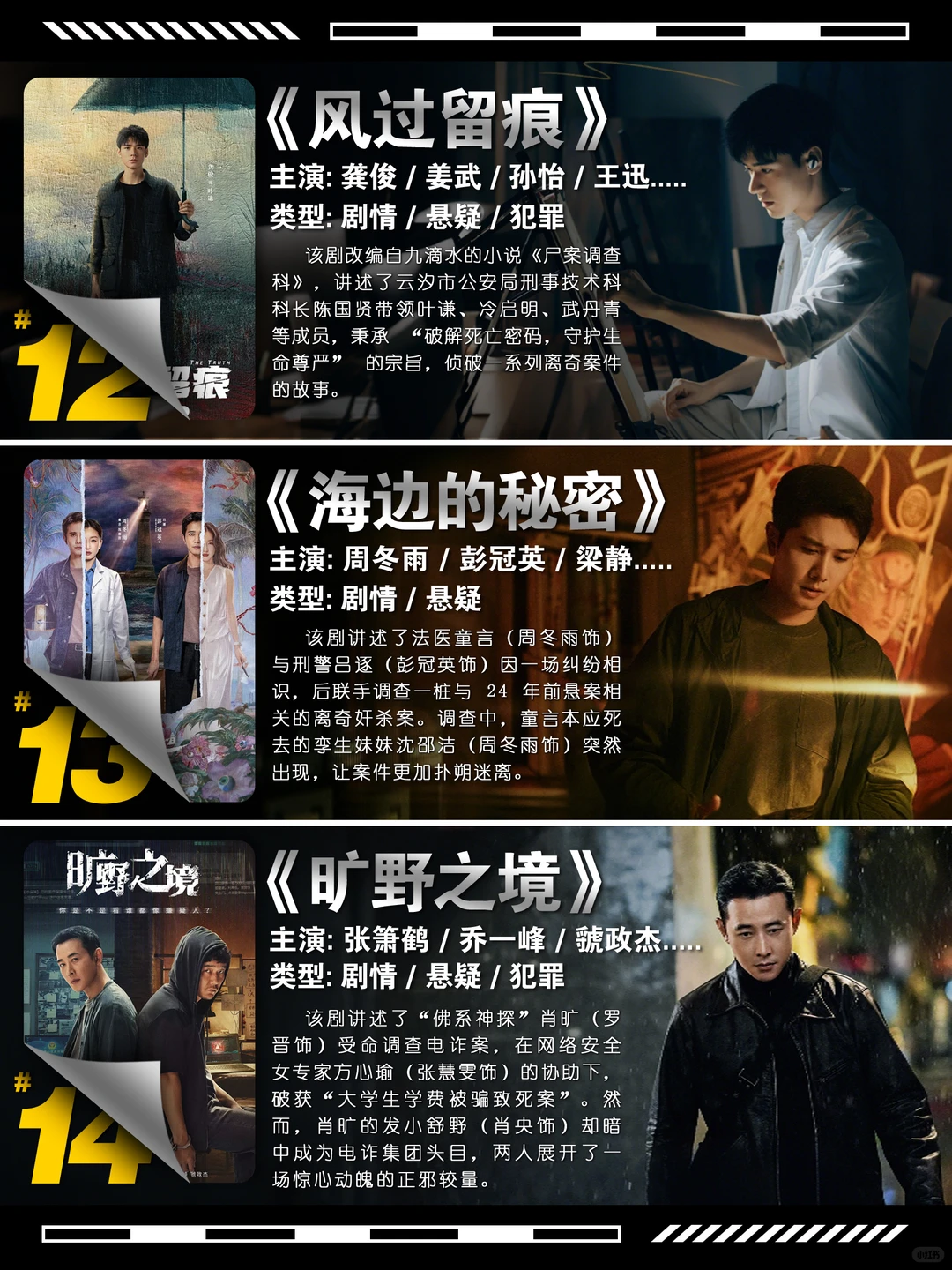 2025年17部豆瓣高分犯罪悬疑剧推荐，拯救周末片荒 - ACGFav