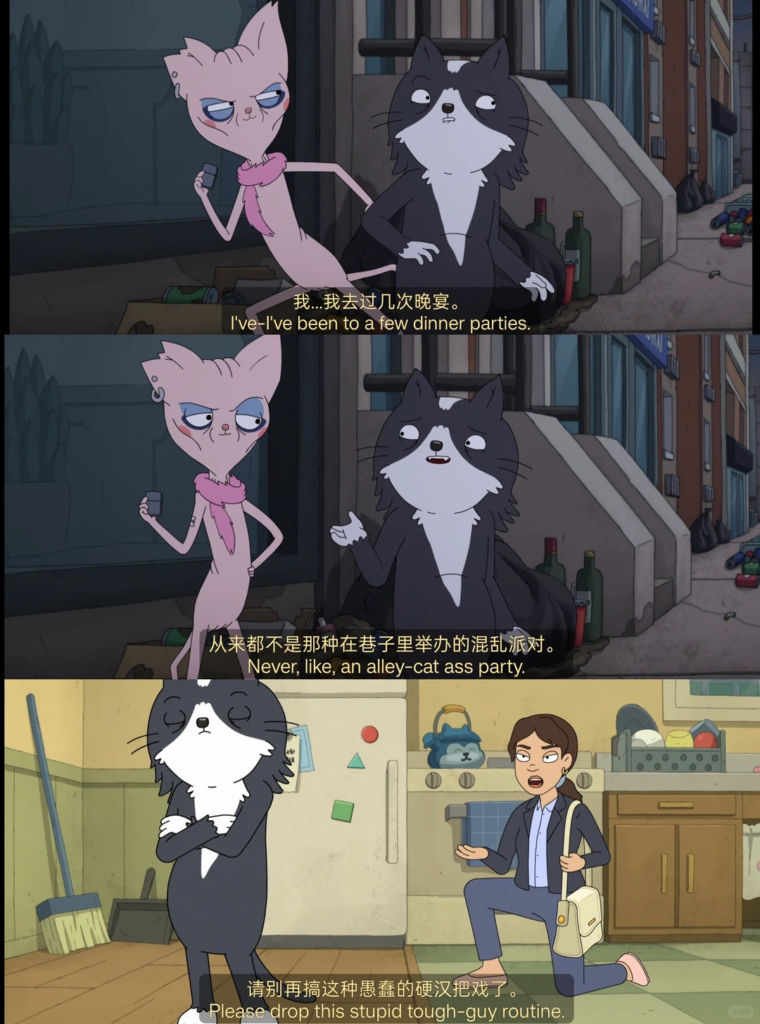 《凯文》动画深度解析：一只家猫的流浪与成人世界的孤独 - ACGFav