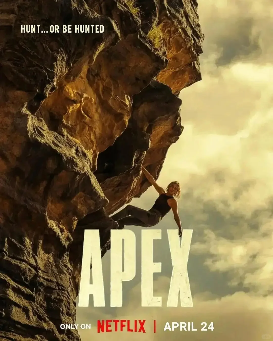 巅峰猎杀深度影评：加拿大犯罪动作惊悚片巅峰解析 - ACGFav