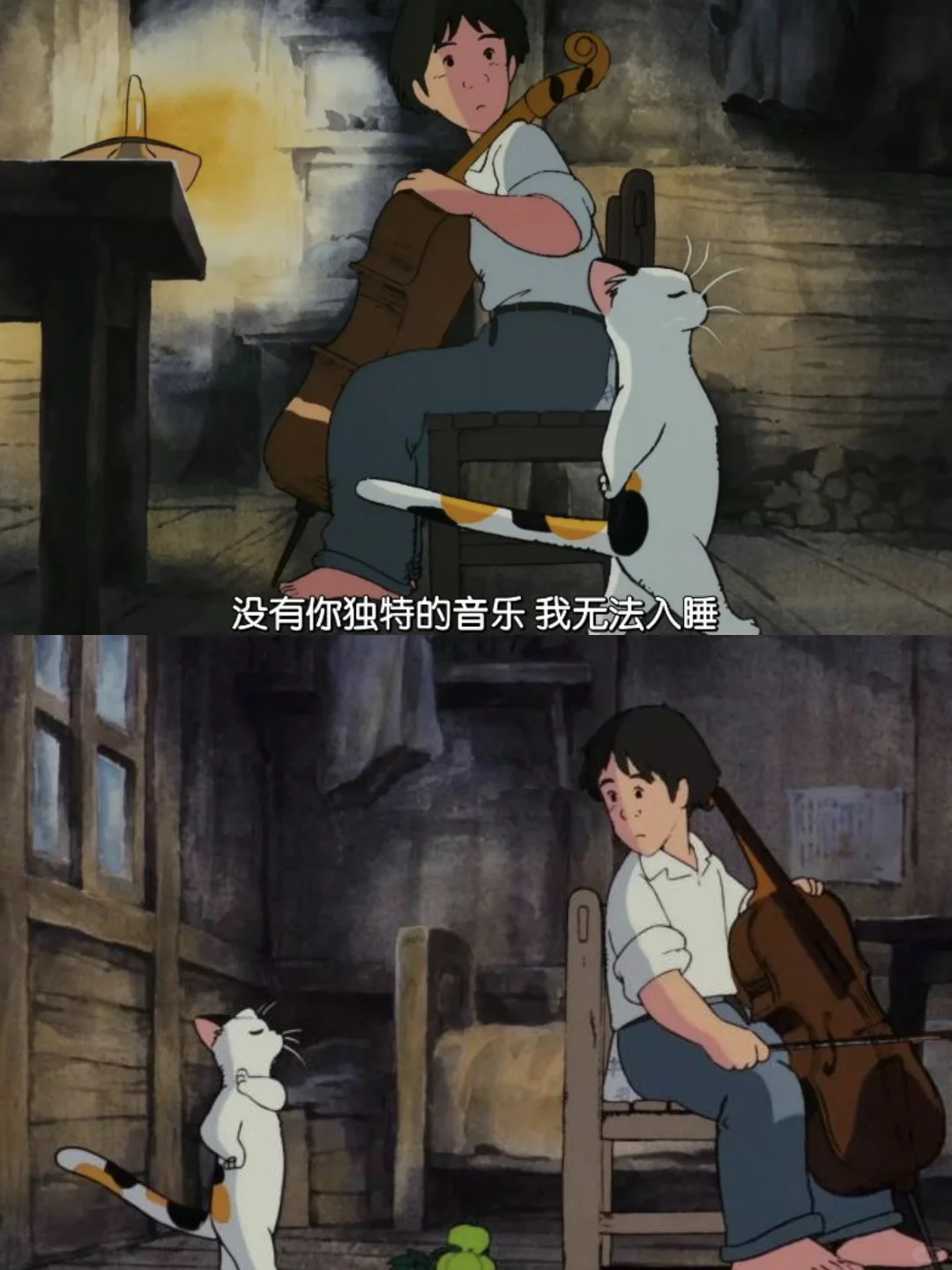 治愈动画推荐：大提琴手-音乐与动物的奇幻故事