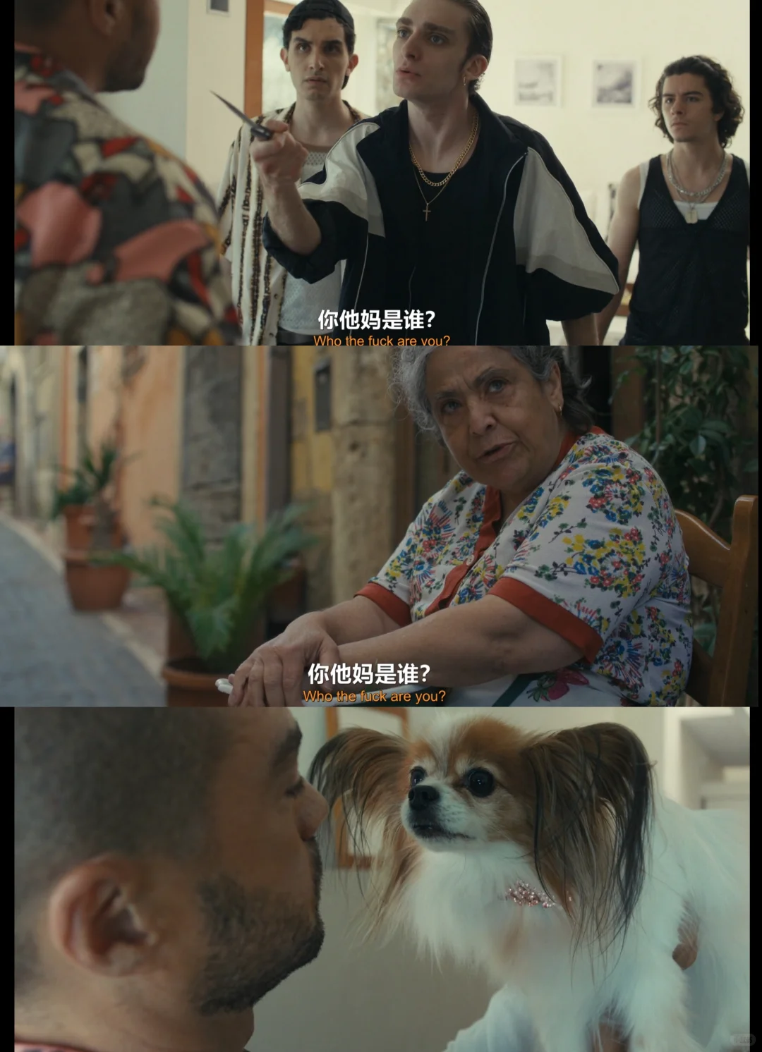 科斯缇娜酒店 2026新剧 意大利犯罪悬疑剧推荐 - ACGFav