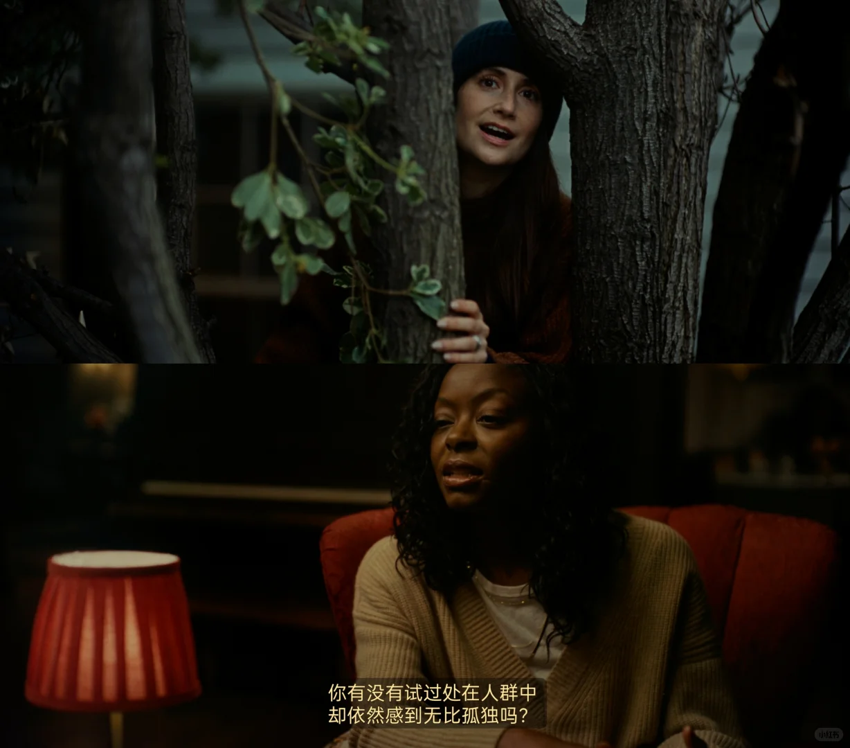 2026美剧《雄鸡生活》开播：斯蒂夫·卡瑞尔新剧剧情看点全解析 - ACGFav