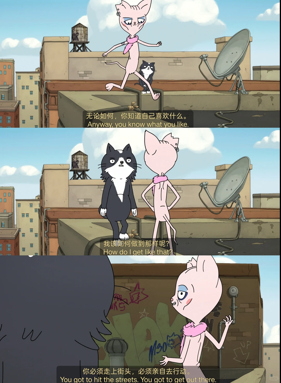 《凯文》动画深度解析：一只家猫的流浪与成人世界的孤独 - ACGFav