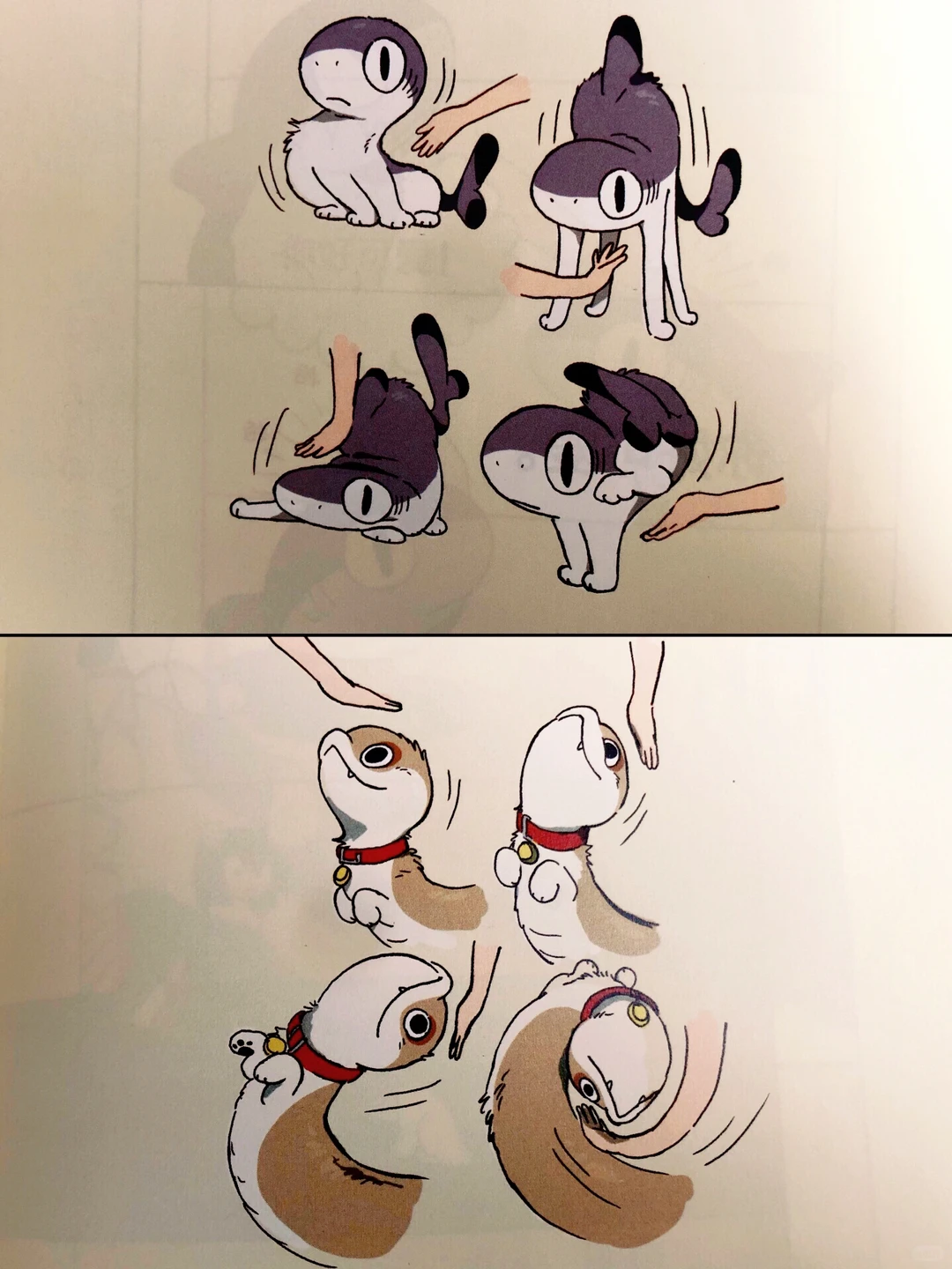 《你的鲨猫突然出现》插画集：幺了个菁治愈力作，鲨猫萌翻全场