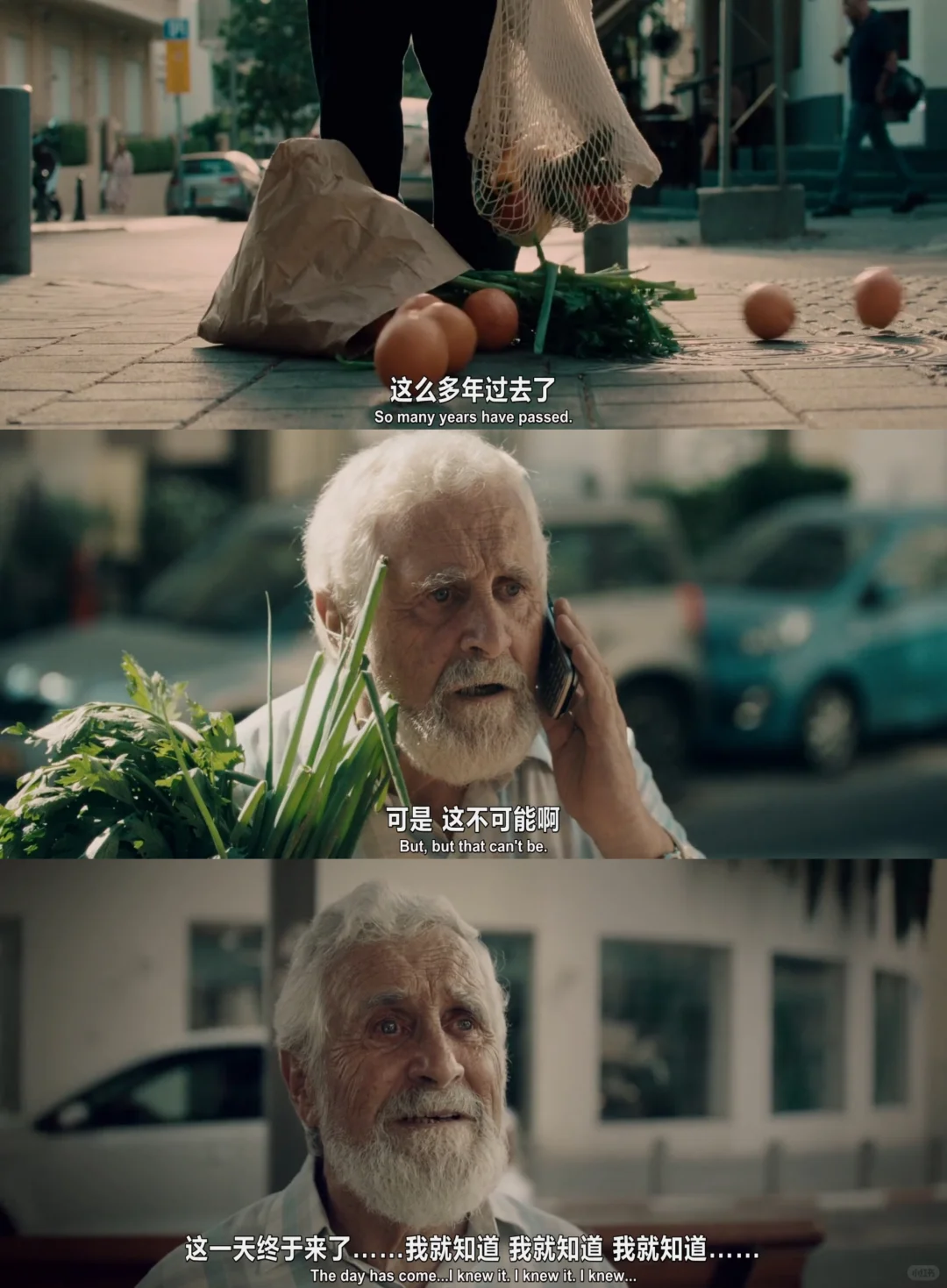 德国催泪二战片《希望的鹳鸟》儿童视角真实故事 - ACGFav