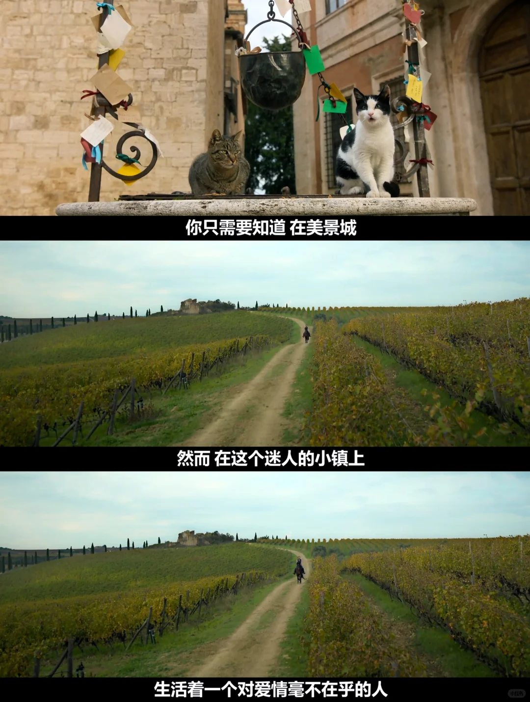 《单身有罪》2026意大利爱情喜剧：托斯卡纳美景与高颜值主演的甜蜜相遇