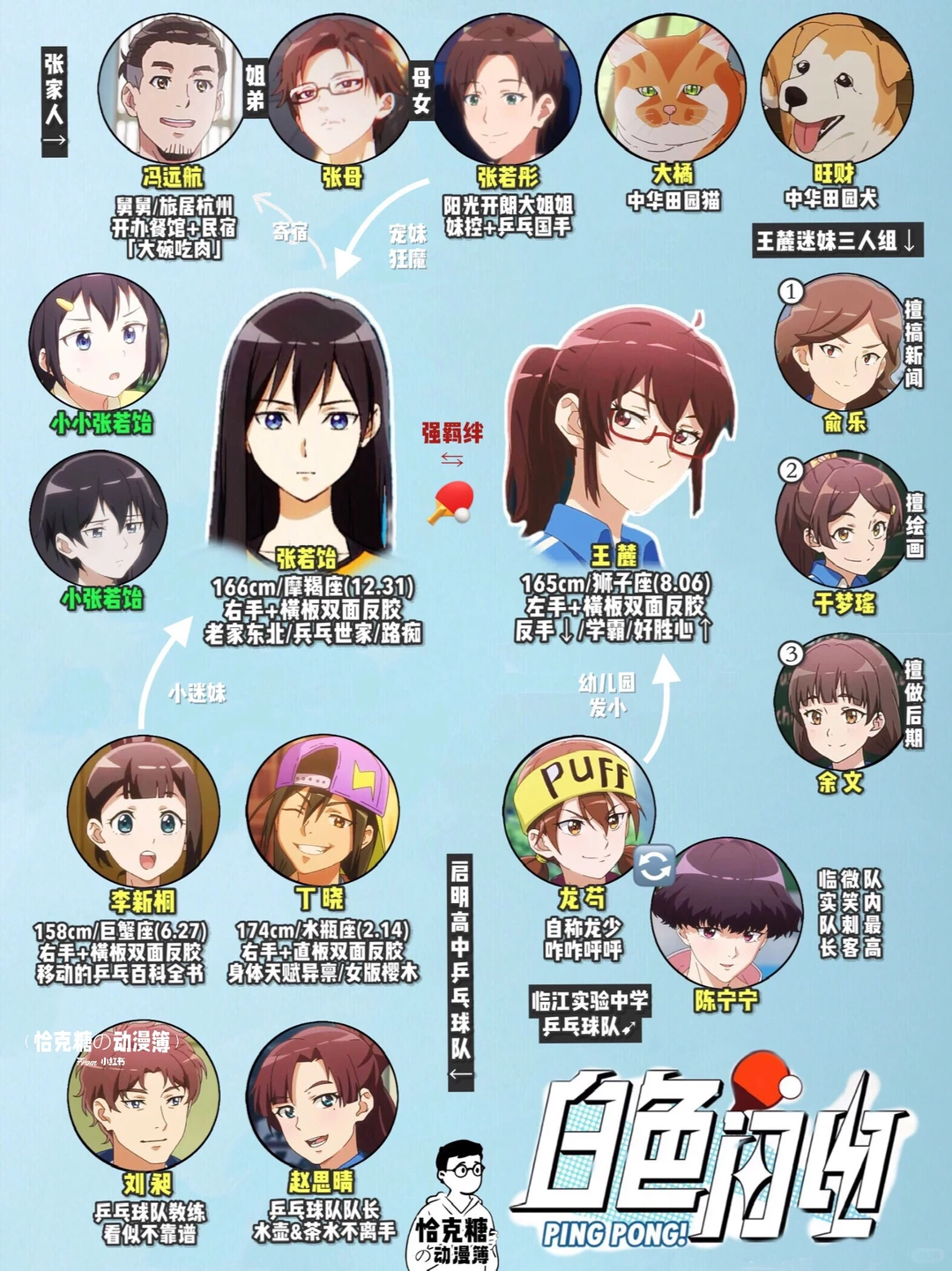 国产动画《白色闪电》评价：女子乒乓球运动番的闪光与不足