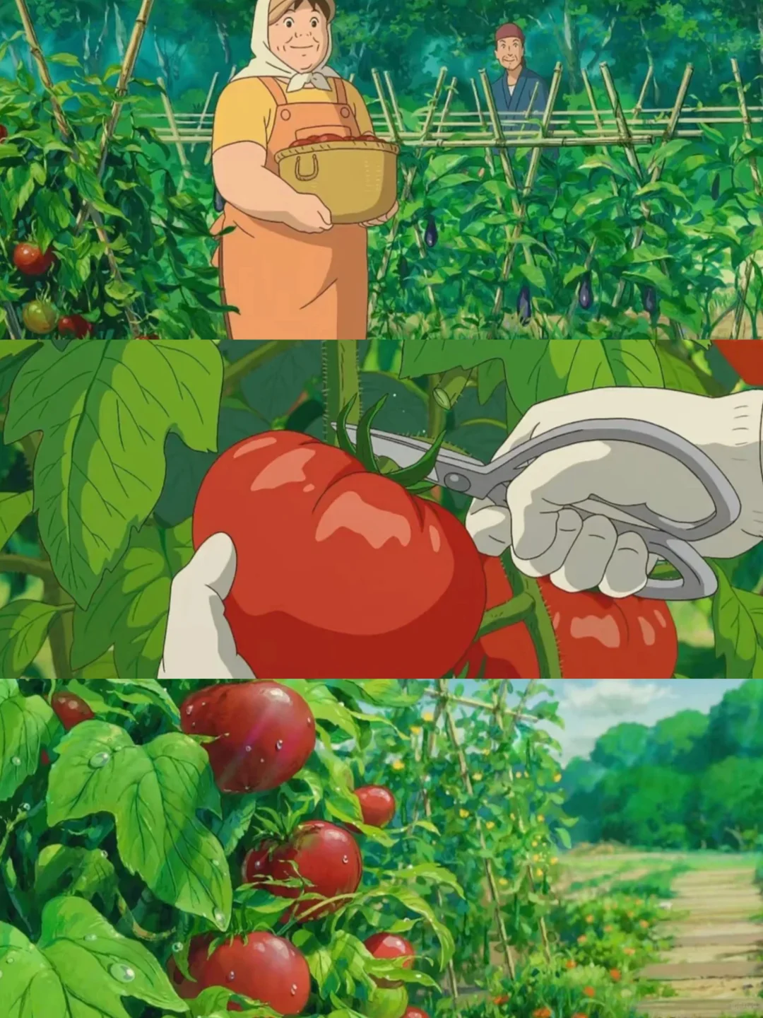 治愈动漫推荐：温暖心灵的经典动画列表