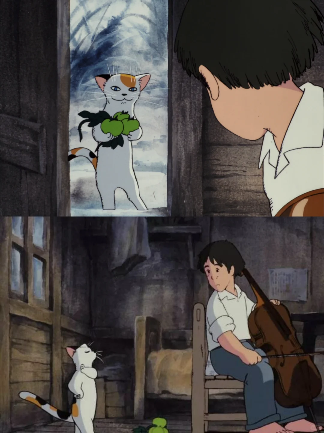 治愈动画推荐：大提琴手-音乐与动物的奇幻故事