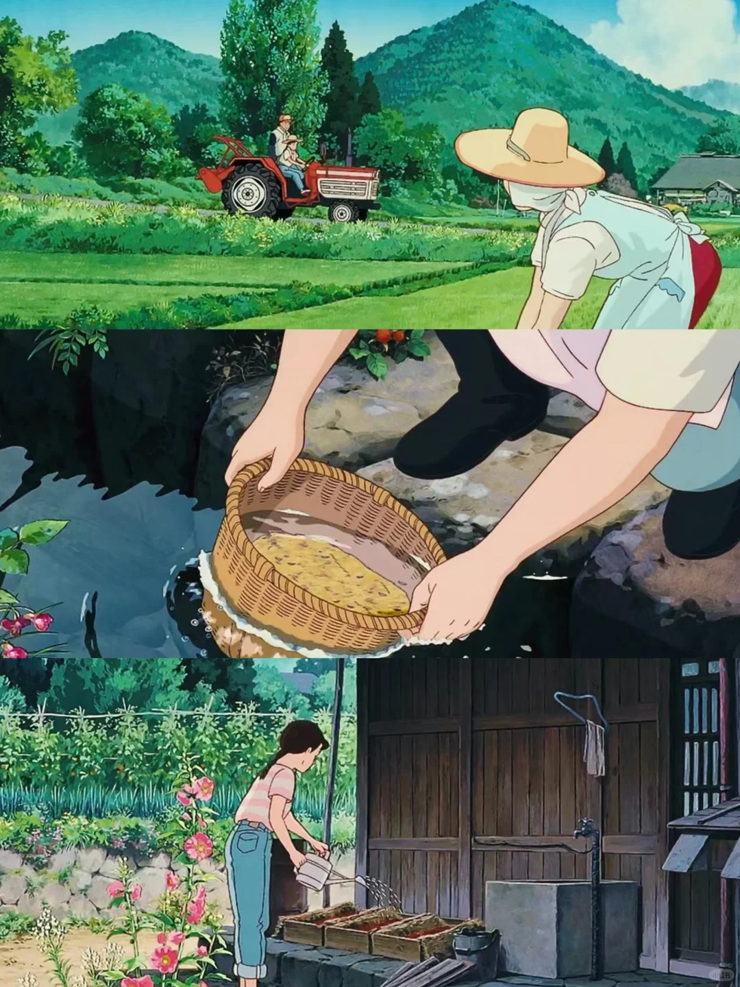 周末治愈美食番推荐 | 5部超适合下饭的清新动漫