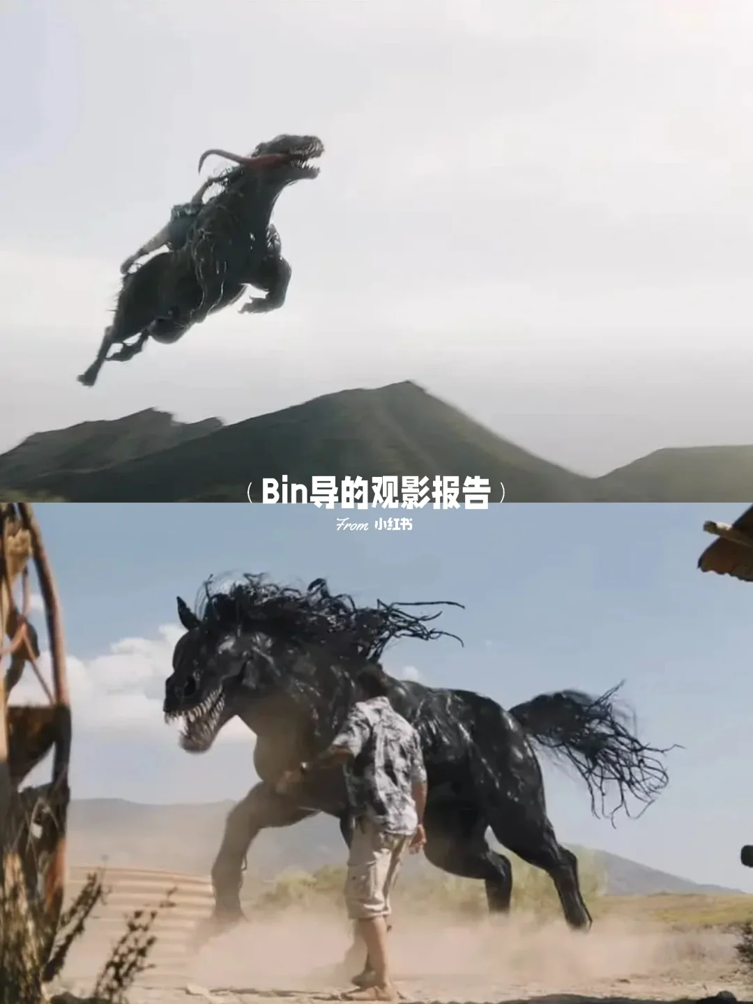《毒液3：最后一舞》定档10月25日，预告解析与角色科普 - ACGFav