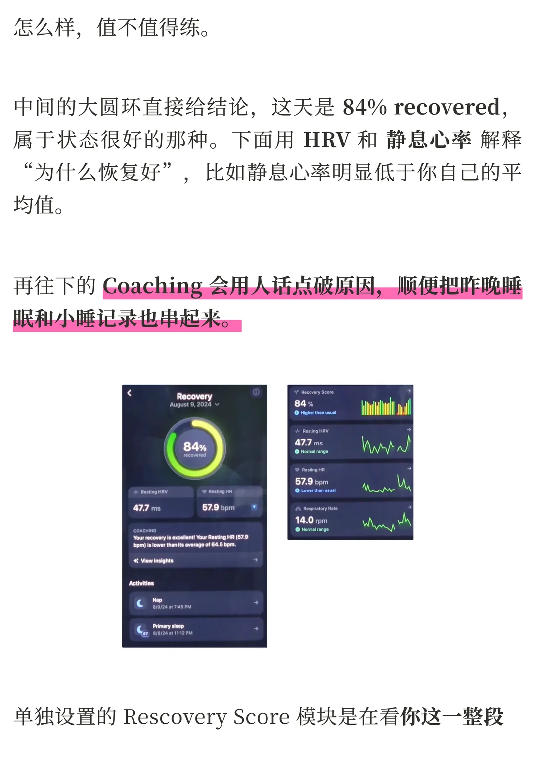 Bevel AI 评测：打通睡眠、运动与饮食，AI 如何让健康数据不再鸡肋