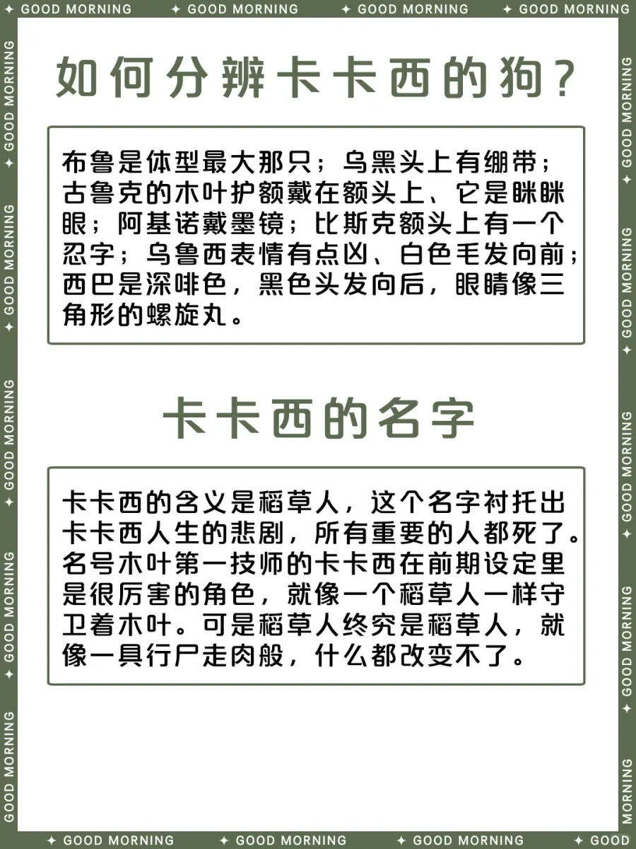 旗木卡卡西：拷贝忍者与第六代火影的传奇 | ACGFav