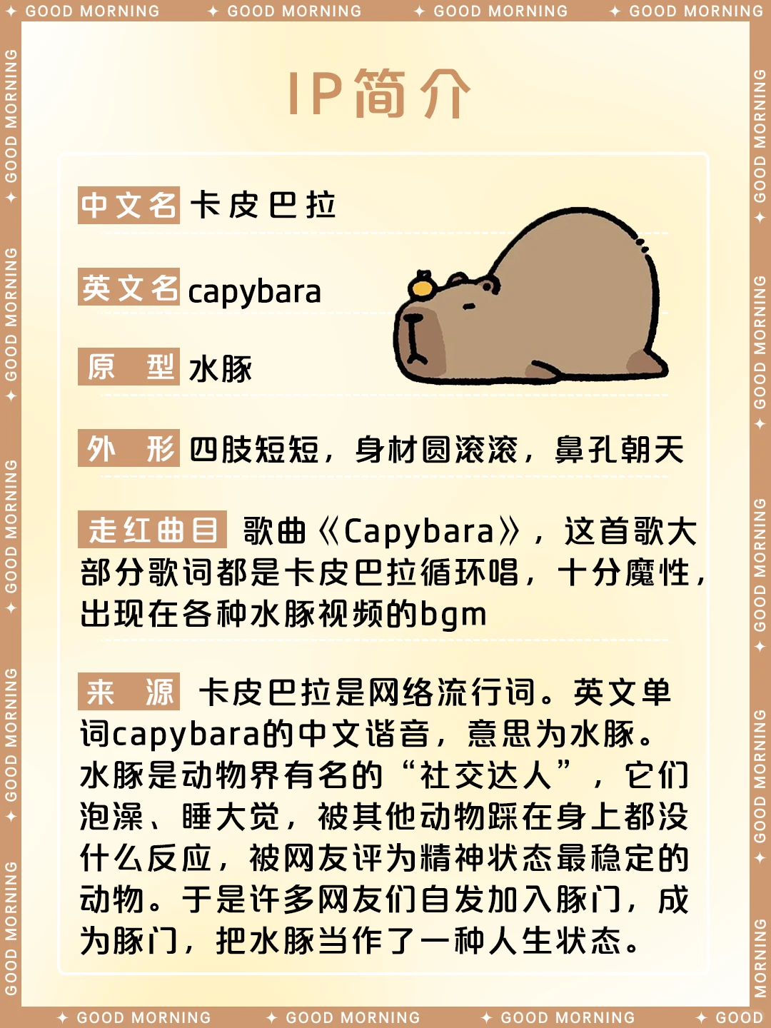 动物界的新顶流—卡皮巴拉：情绪稳定的水豚走红