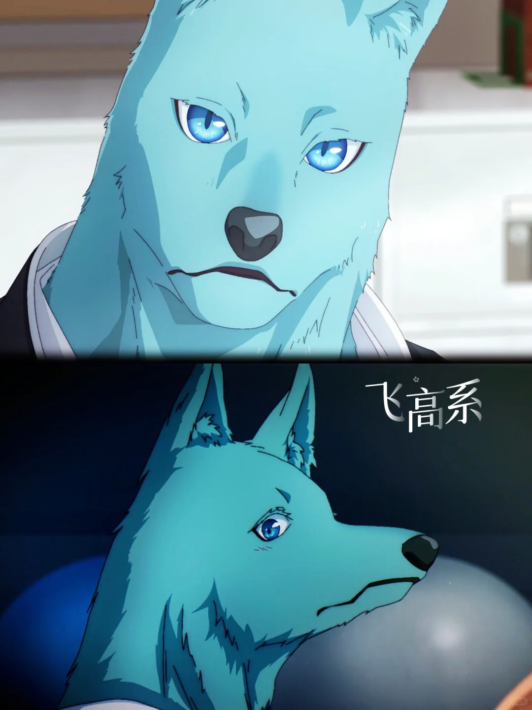 他这个毛色 我是万万没想到